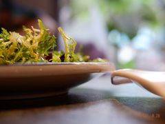 爽口苦菊-华盛园卷子王农家菜水库鱼