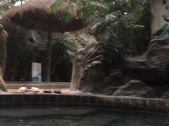 -龙达温泉生态城