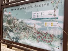 -北京鹫峰国家森林公园
