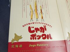 -关西国际机场直营免税店