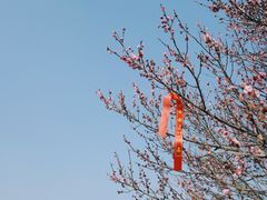 -开福禅寺