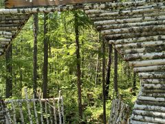 -峡谷浮石林景区