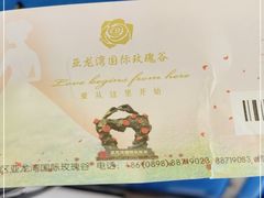 -亚龙湾国际玫瑰谷