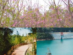 -芒洲湿地公园