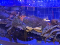 -七欣天香辣蟹火锅(淮安璟和名城店)