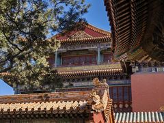 -故宫博物院(故宫)