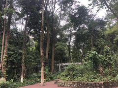 -广西壮族自治区药用植物园