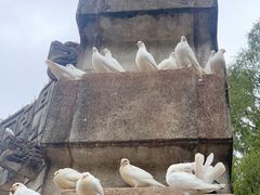 -音乐台