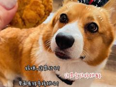 -诚志饼家·小凤饼非遗传承(中山六路店)