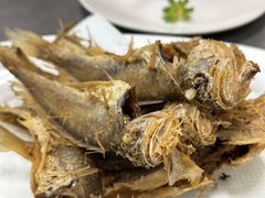 -沪依小酒馆心意菜