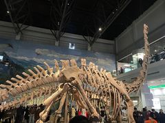 -自贡恐龙博物馆