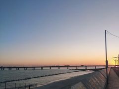 -南汇新城海滩