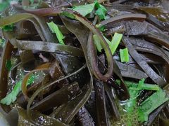 炖海带-宋老三苏肉羊肉汤老店