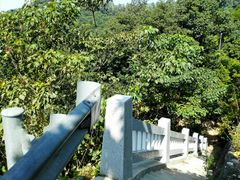-火炉山森林公园