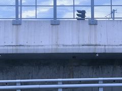 -海堤纪念公园