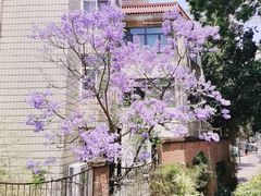 -石屏会馆