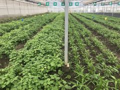 -上膳源有机农场