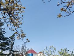 -四道口水产市场