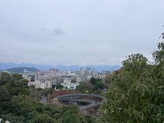 -福道