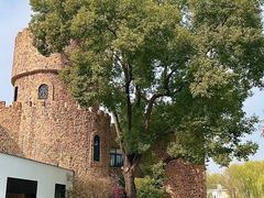 -J Create城市露营咖啡·简餐·宠物(上海动物园店)