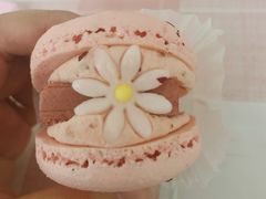 半熟花花马卡龙玫瑰双莓芝士味-好利来(温江合生汇店)