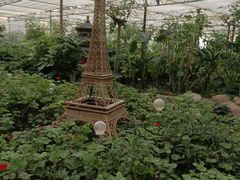 -南宫五洲植物乐园