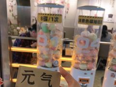 -元气寿司(东方宝泰店)