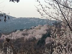 -北京西山国家森林公园