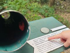 -华侨城湿地公园
