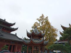 -上海东林寺(金山区)