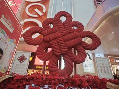 -越秀西湖花市(广州城市广场花卉店)