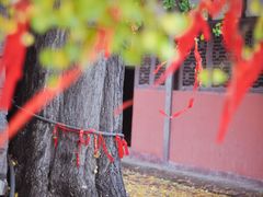-金堂县云顶石城风景区