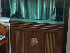 -中环花鸟鱼虫市场