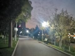 -雁滩公园