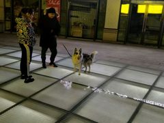 -谷田稻香·砂锅菜(汇暻广场店)