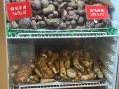 -太婆天府山珍酒楼(亚运村店)