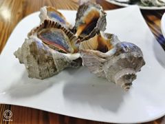 -板桥海鲜广场(文明东店)