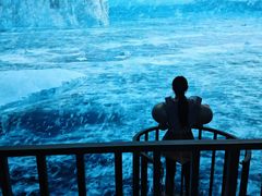 -同济大学四平路校区游泳馆