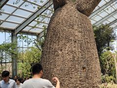 -南通洲际绿博园