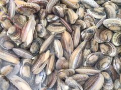 -粤盛海鲜平价店(洛溪食街店)