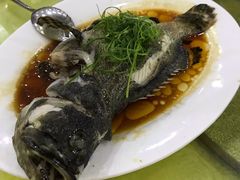 -双月饭店·20年老字号(新村店)