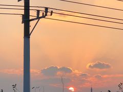 -前小桔亲子创意农场·草莓采摘·露营烧烤