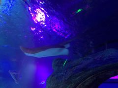 -沈阳海洋探索中心