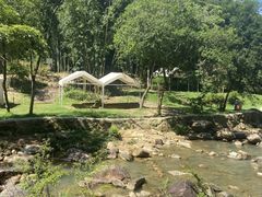 -广州白江湖森林公园