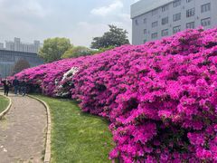 -长阳创谷