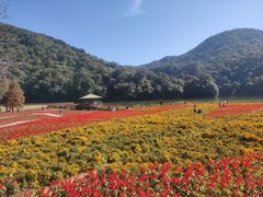 -广州市石门国家森林公园