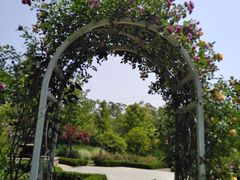 -昆山城市生态森林公园