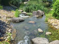 -新虹桥中心花园