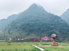 -靖西鹅泉风景区