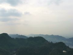 -大金鹰园